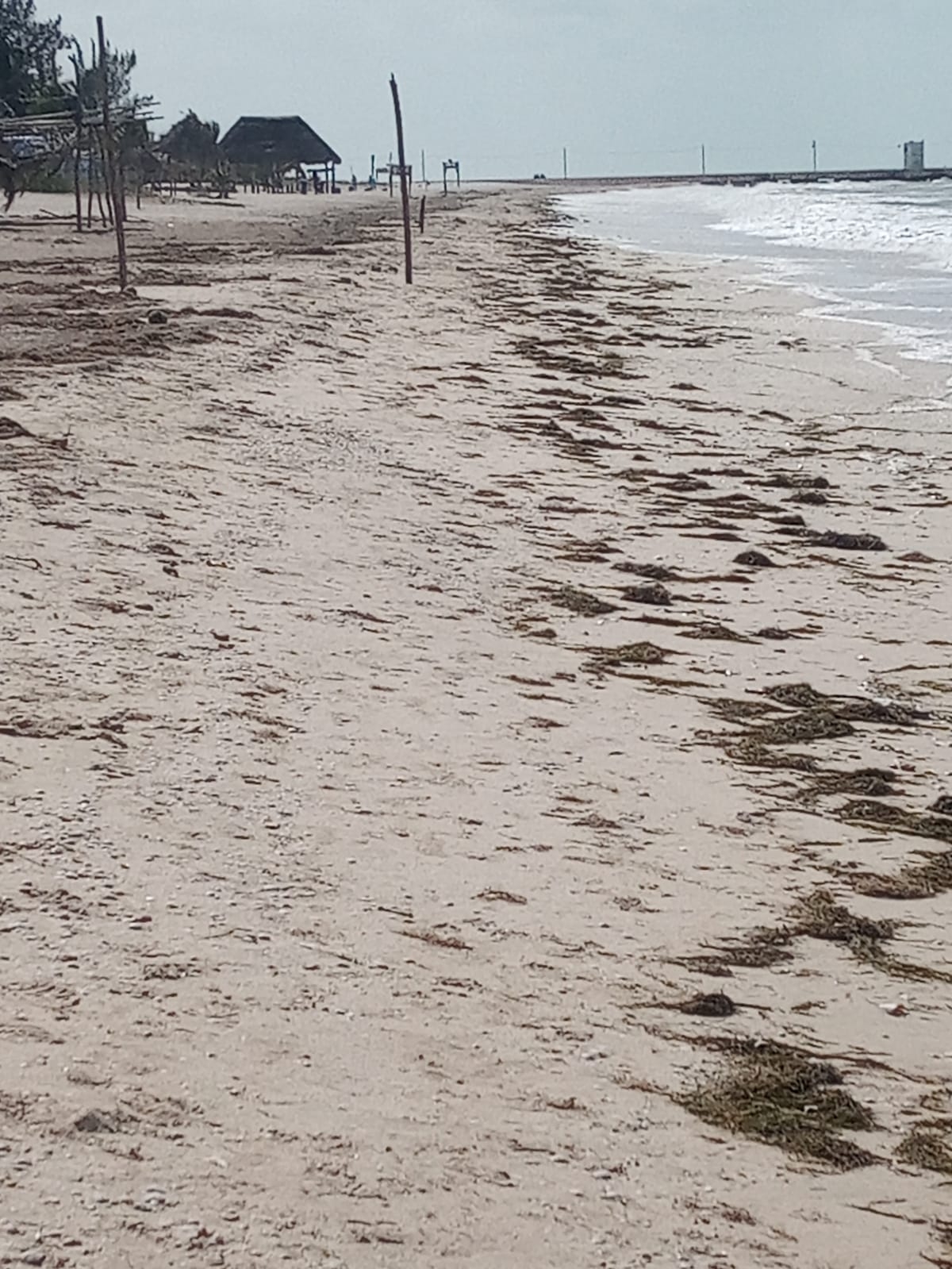 Puertos de Yucatán se quedan sin visitantes por la entrada del frente frío número 22