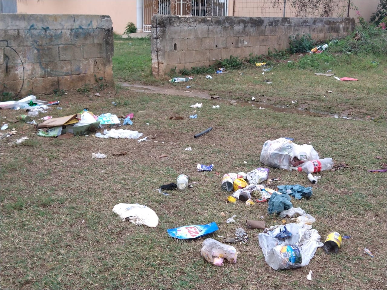 Crean basurero clandestino ante falta del servicio de recolección en Peto