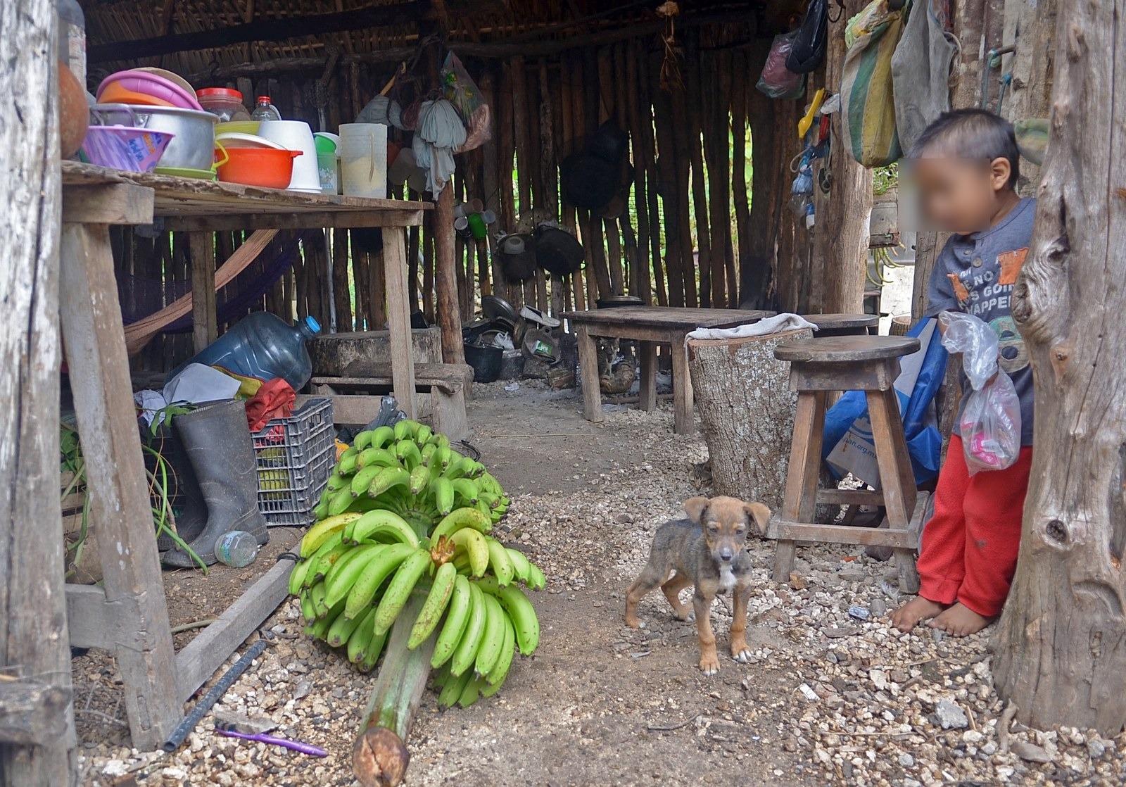 Habitantes del Norte de Quintana Roo sufren carencia de alimentos: Coneval
