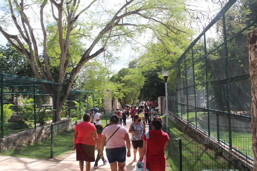 Este es el zoológico que la Reina Isabel II tiene en Tizimín, Yucatán: FOTOS