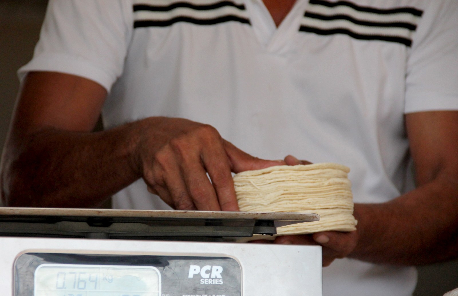 Productores de la Península de Yucatán piden regular precio de la tortilla