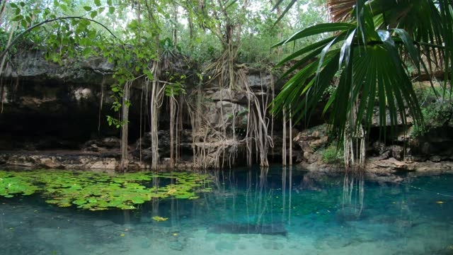 Descubre el Cenote X'batún, donde se grabó Abismo de Pasión, para disfrutar de este fin de semana
