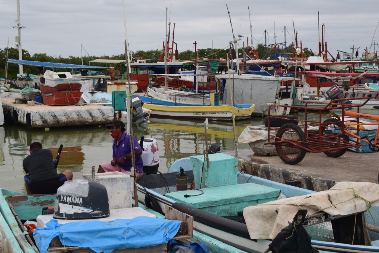 Frente Frío No. 19 detiene la actividad pesquera en Progreso