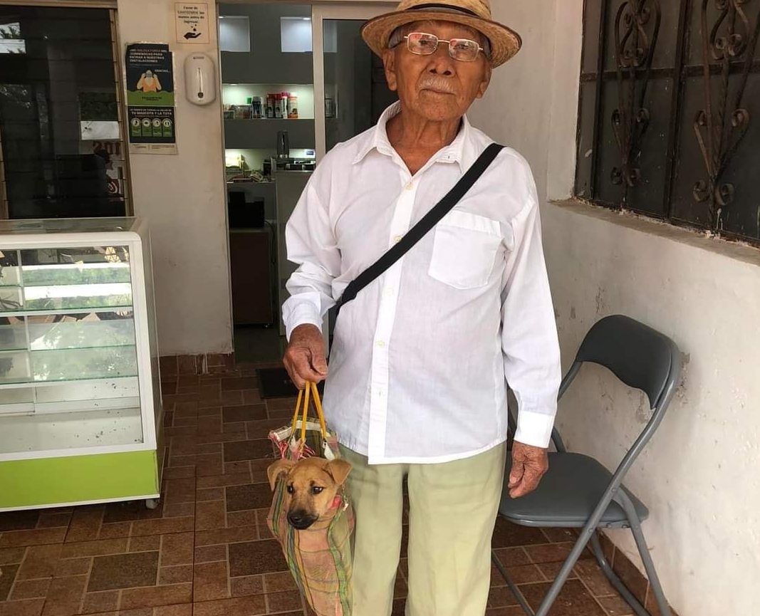 Abuelito lleva a su perrito a vacunar dentro de un sabucán en Yucatán