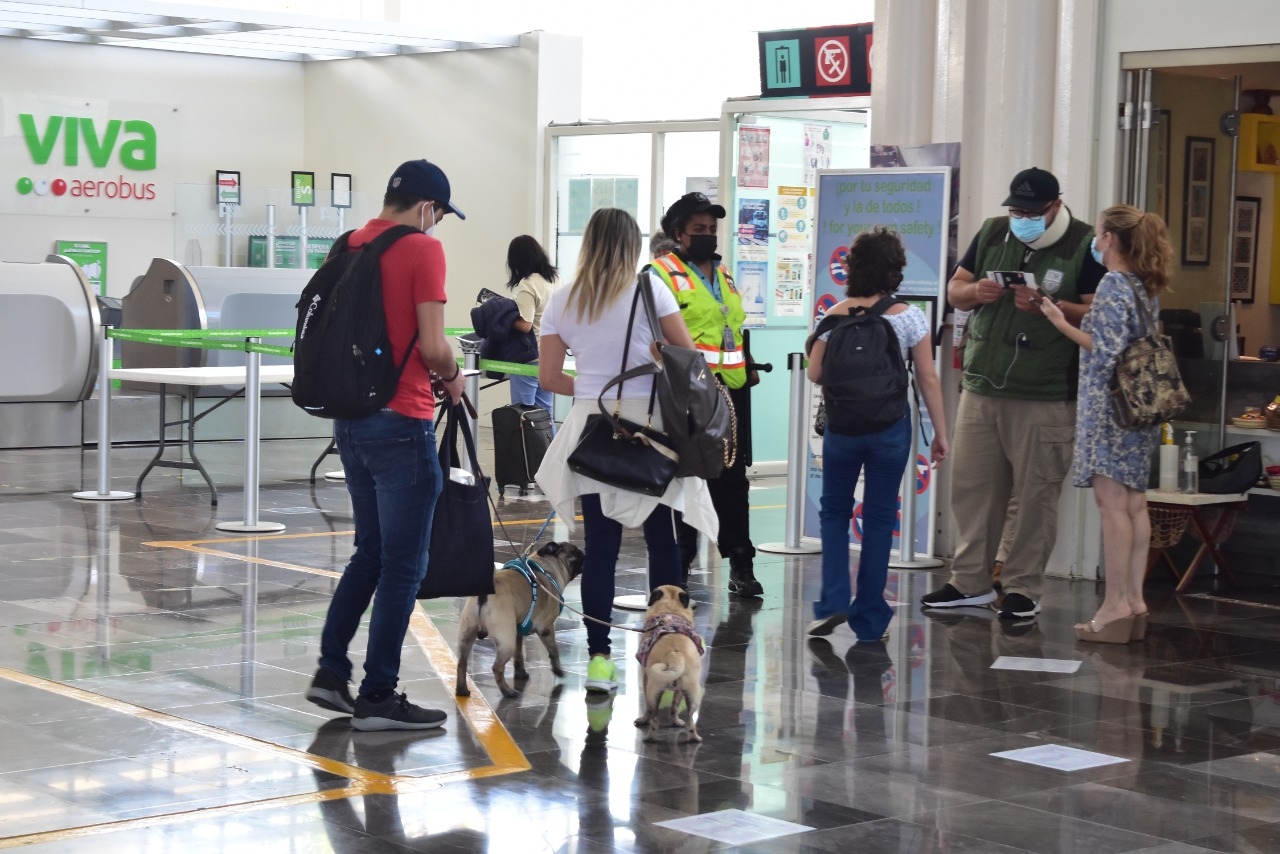 Viajeros incumplen medidas anticovid en el Aeropuerto de Campeche