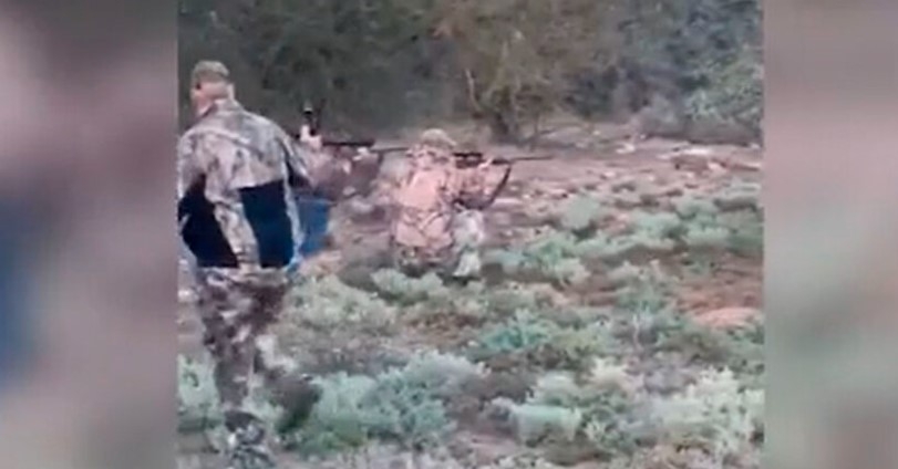 Video del ataque de búfalo a cazador mexicano