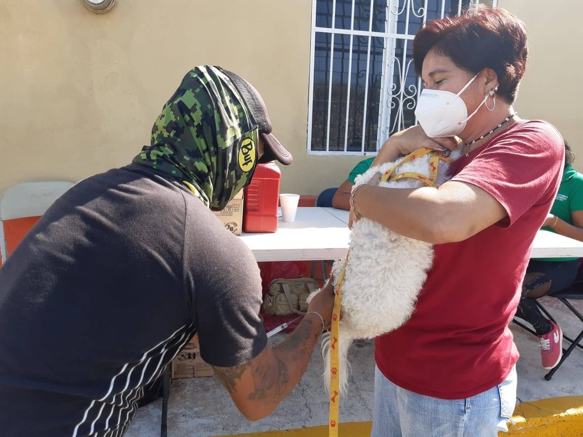 Vecinos de Progreso denuncian a supuestos falsos vacunadores de mascotas