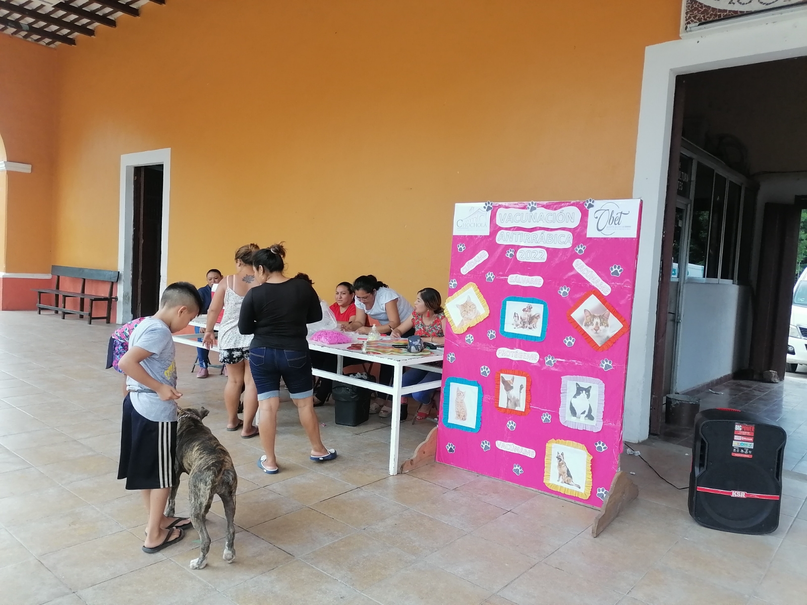 Vacunan a perros y gatos contra la rabia en Chocholá