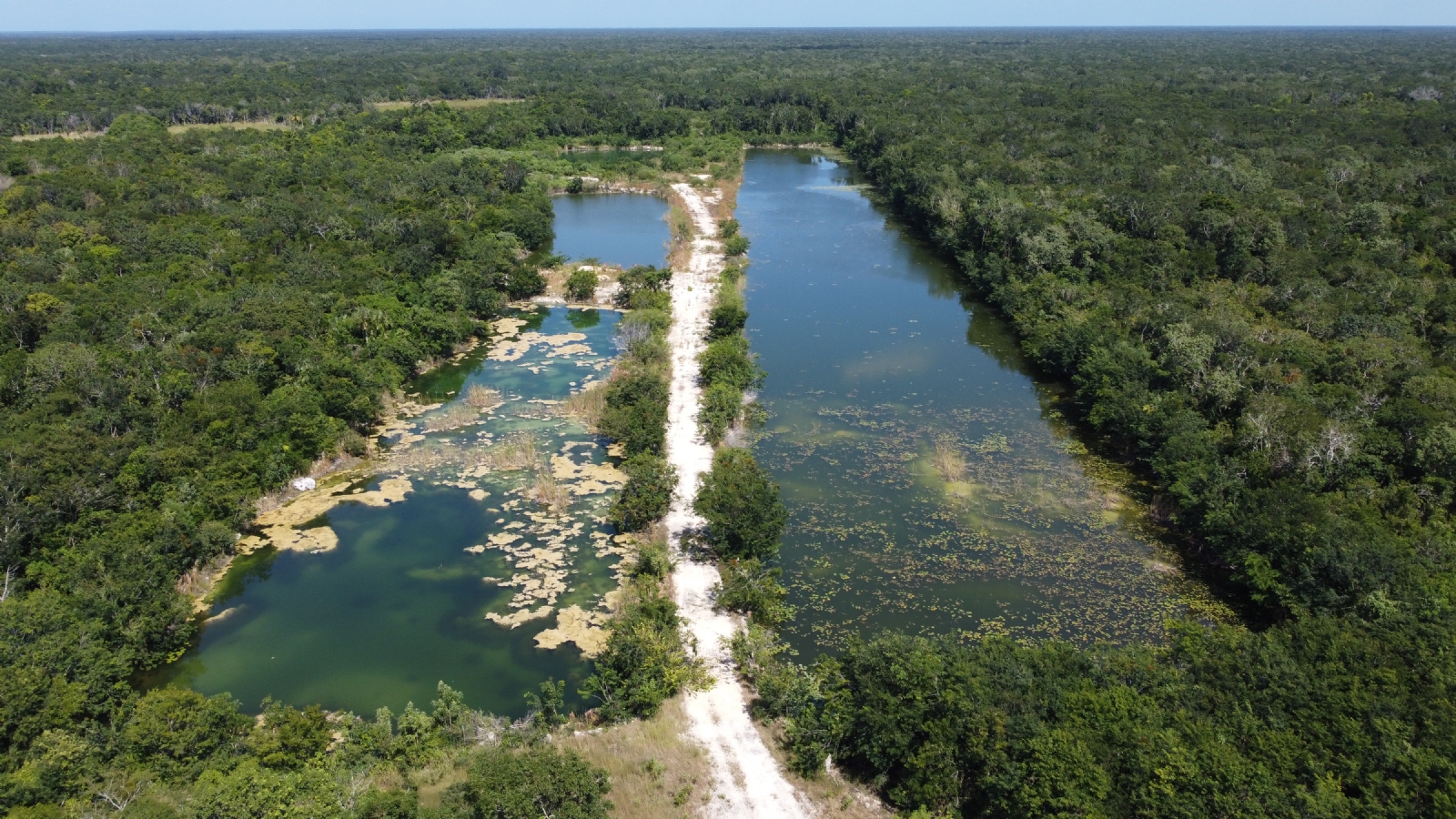 Activistas exhiben contaminación de granjas porcícolas de Kekén en Yucatán a nivel nacional