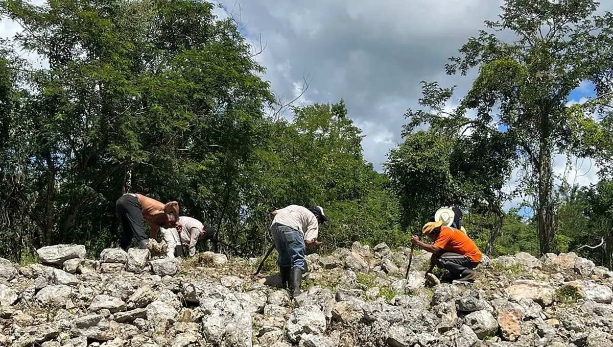 Hallan nuevas estructuras mayas en zona arqueológica en Yucatán