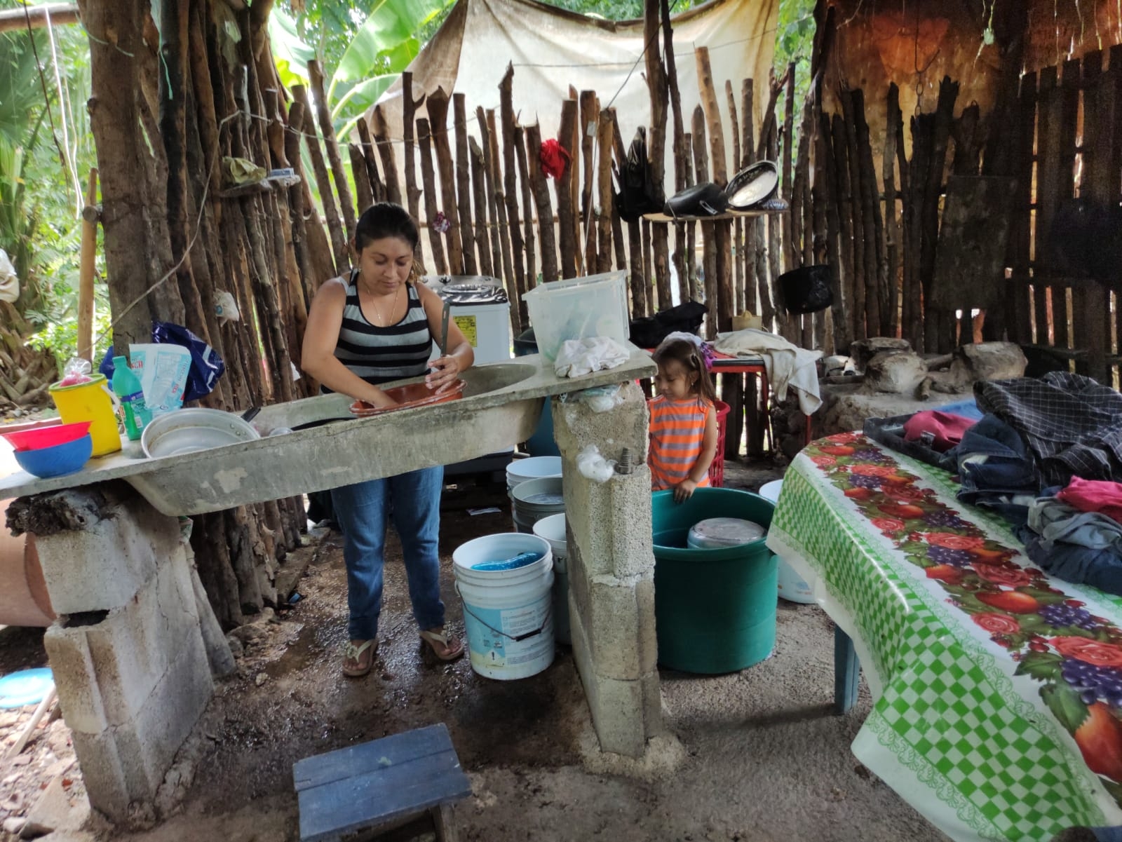 Activistas de Yucatán exigen castigar a Kekén; sólo 21 de 500 granjas cumplen con la ley ambiental