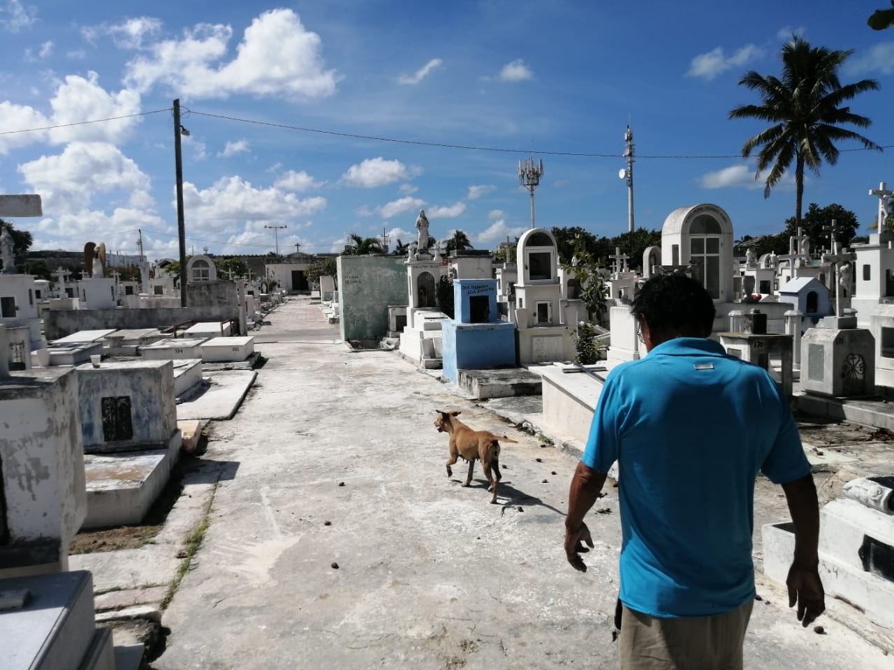 Progreso anuncia blindaje policiaco en cementerios durante Día de Muertos