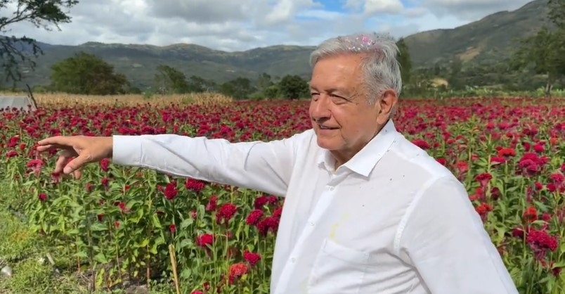 El presidente Andrés Manuel López Obrador resalta la temporada de flores con motivo del Día de Muertos