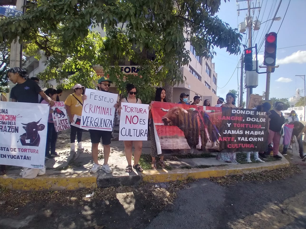 Activistas protestan contra las corridas de Toros en Mérida: EN VIVO