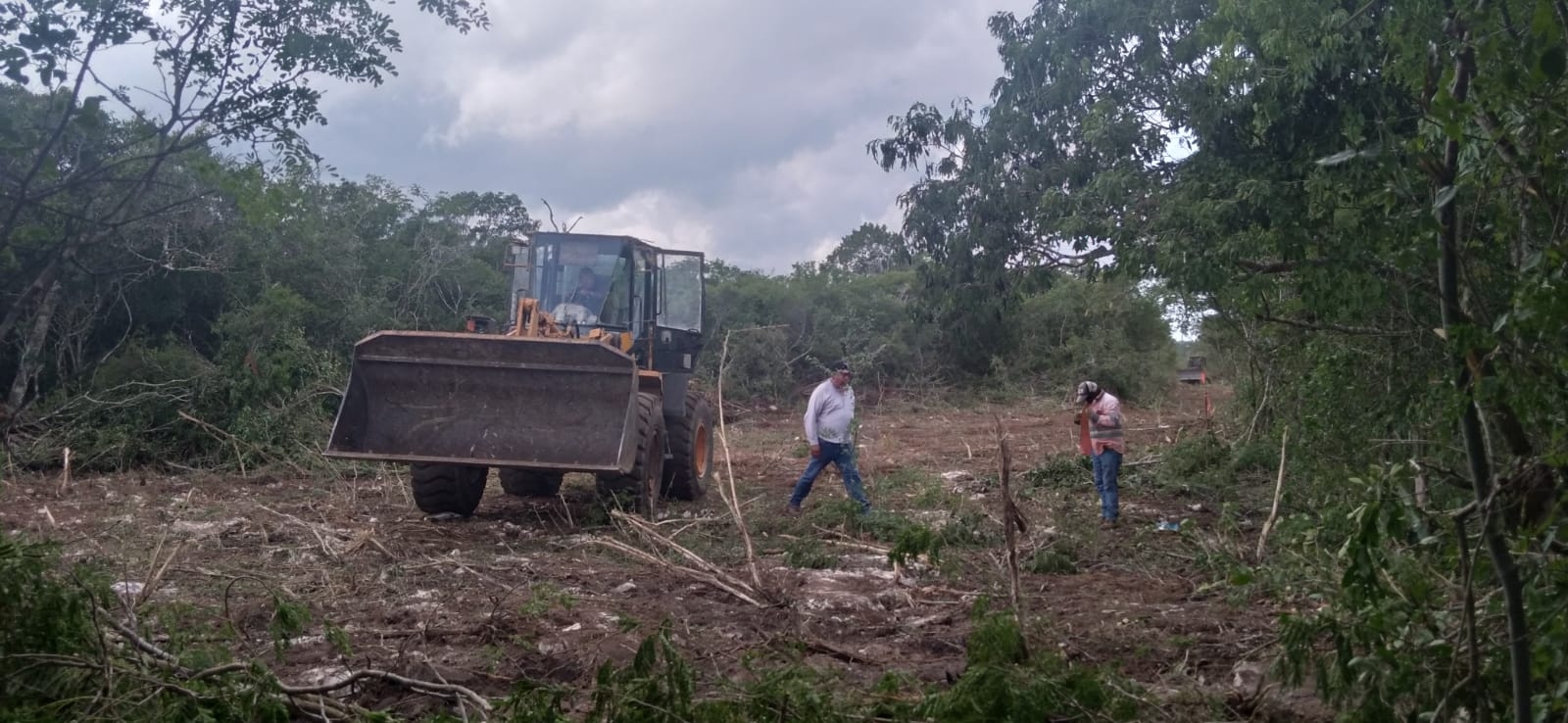 Despojo de tierras en Dzemul: Así fue como Ivonne Ortega vendió 800 hectáreas