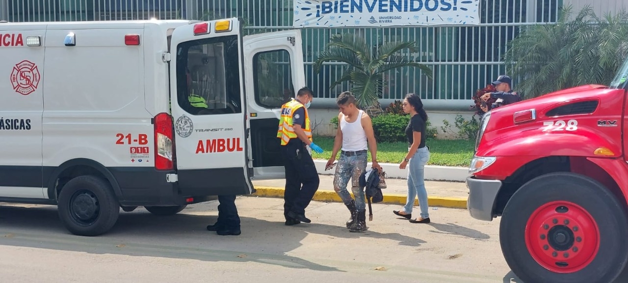 Abejas atacan a dos empleados en Playa del Carmen