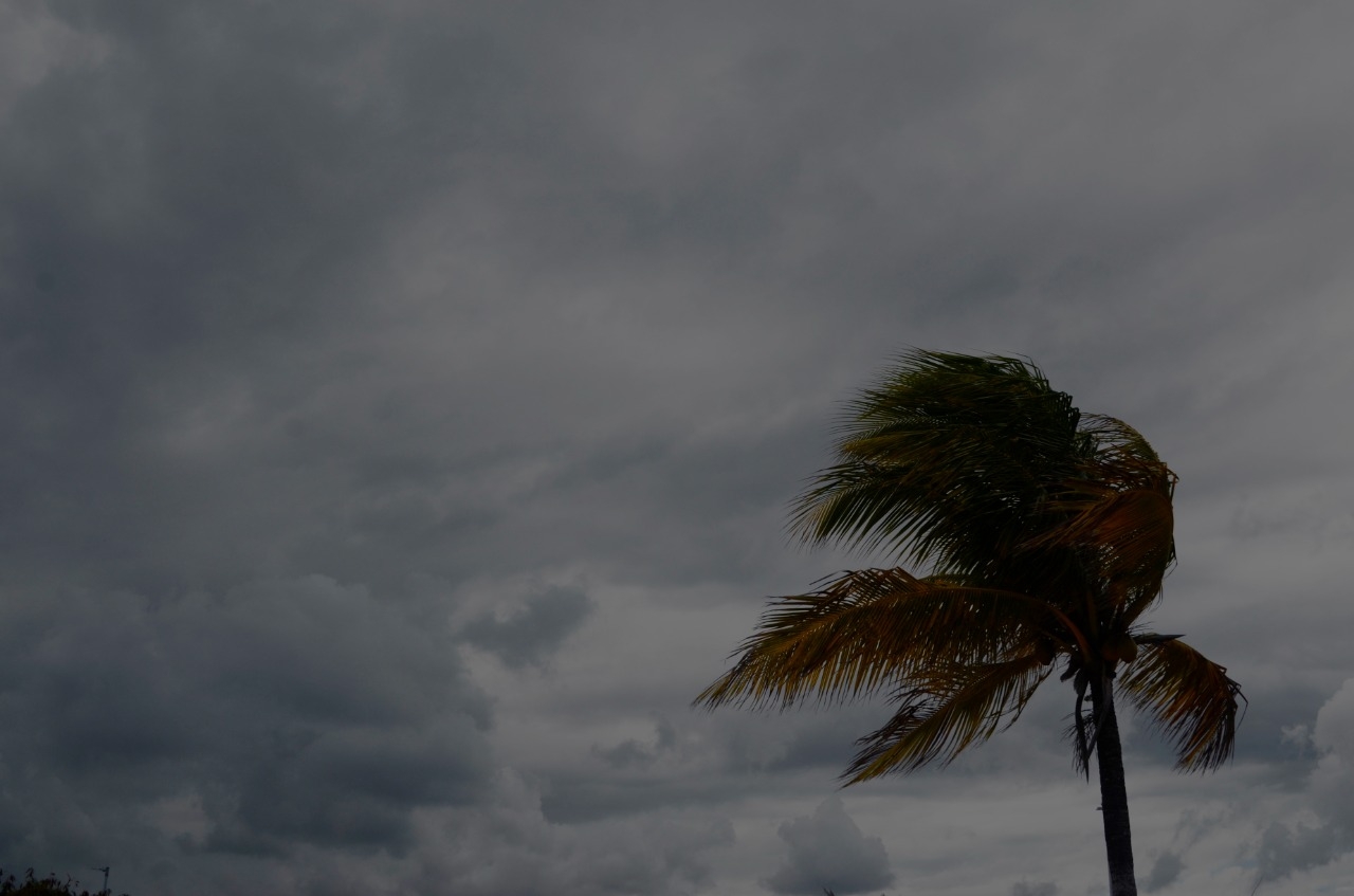 Se esperan fuertes vientos en Yucatán durante este sábado