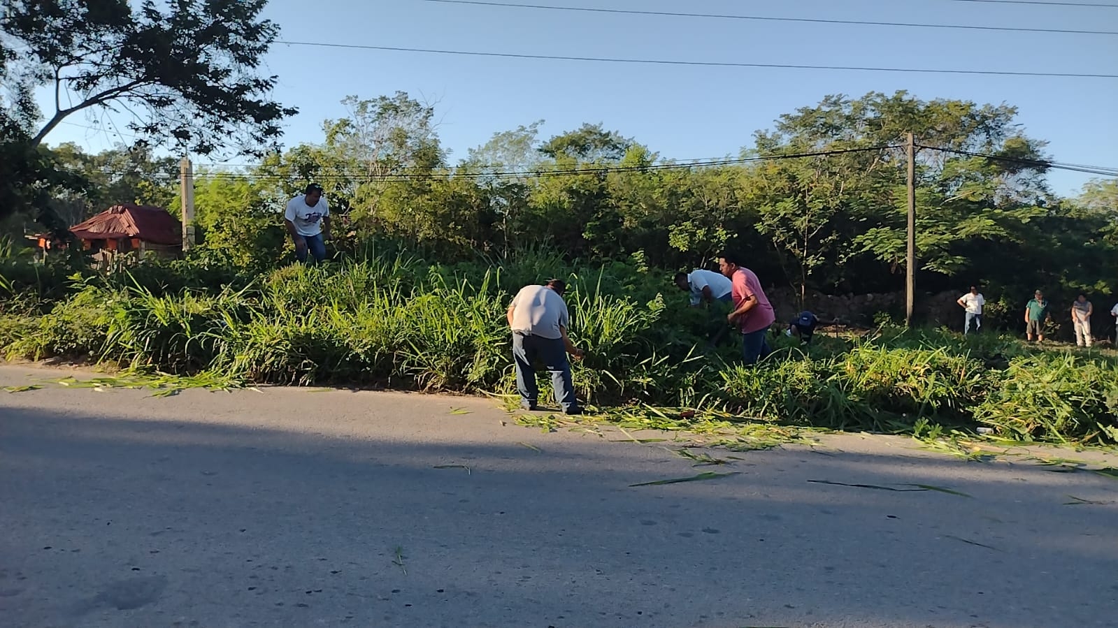 Taxistas limpian ciclovía tras el accidente que sufrió una estudiante en Felipe Carrillo Puerto