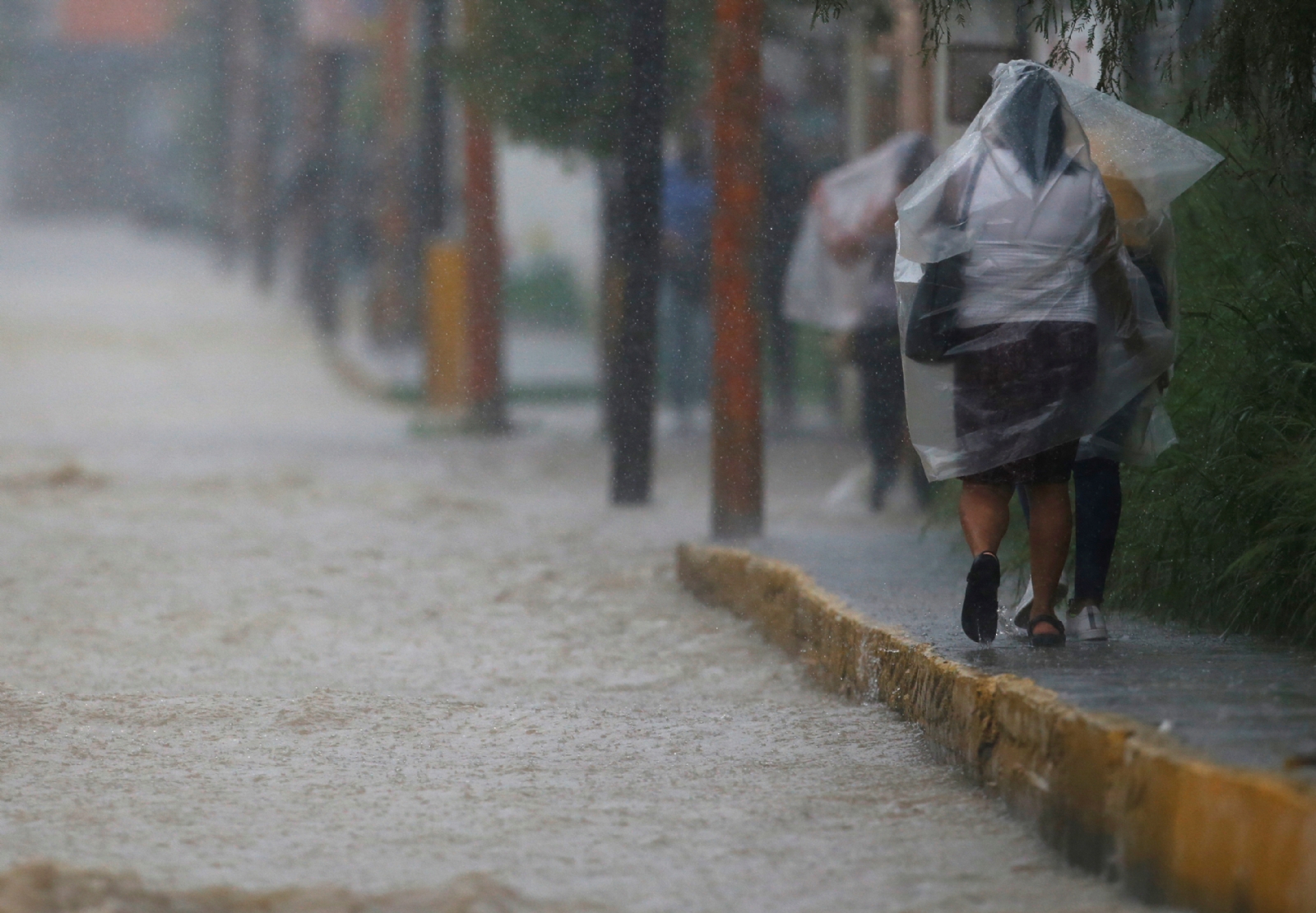 Clima Quintana Roo 01 de enero: Se pronostican lluvias aisladas y chubascos