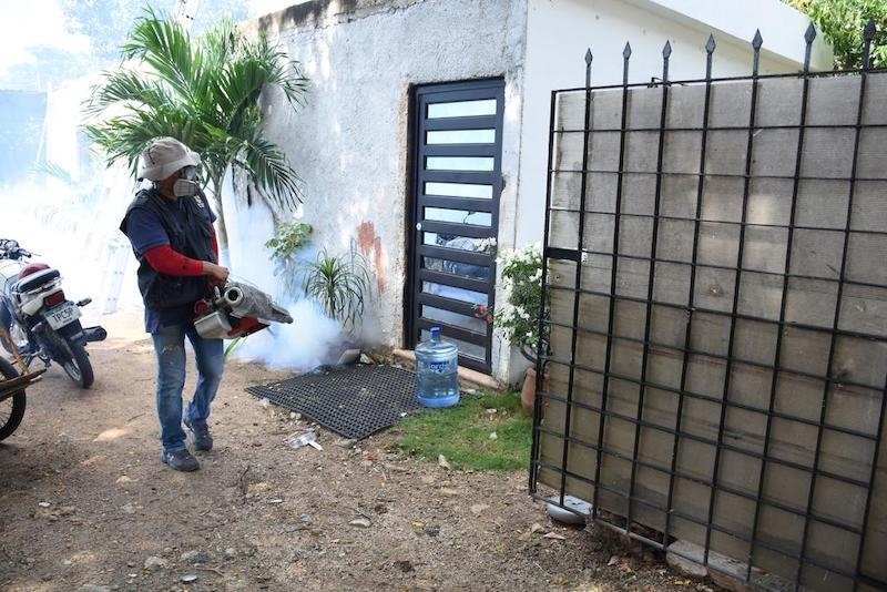 Dengue arrasa en Yucatán; detectan 114 casos en 19 municipios