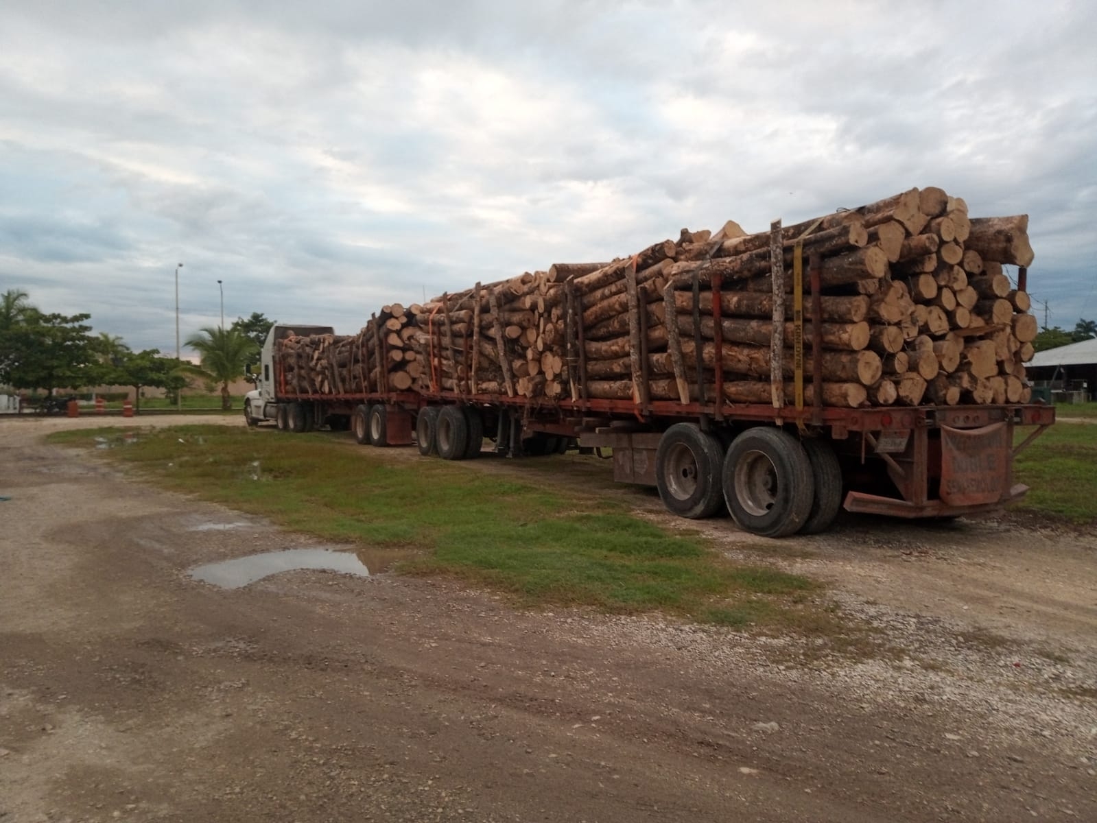 Retienen tráiler con madera ilegal en la vía Escárcega-Chetumal