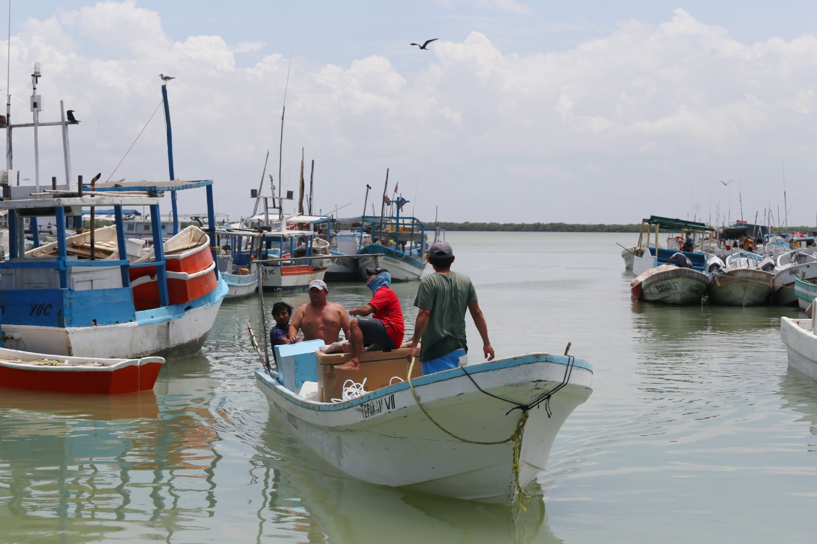 Marea roja y nortes, hunden pulpeada en Yucatán; se han capturado 15 mil toneladas
