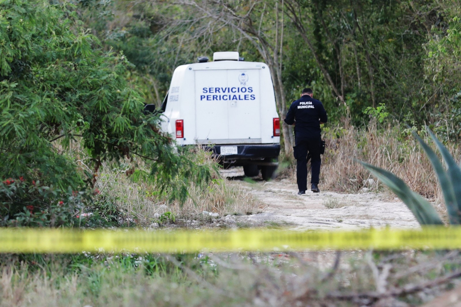 Encuentran cuerpo descuartizado en la Ruta de los Cenotes en Puerto Morelos