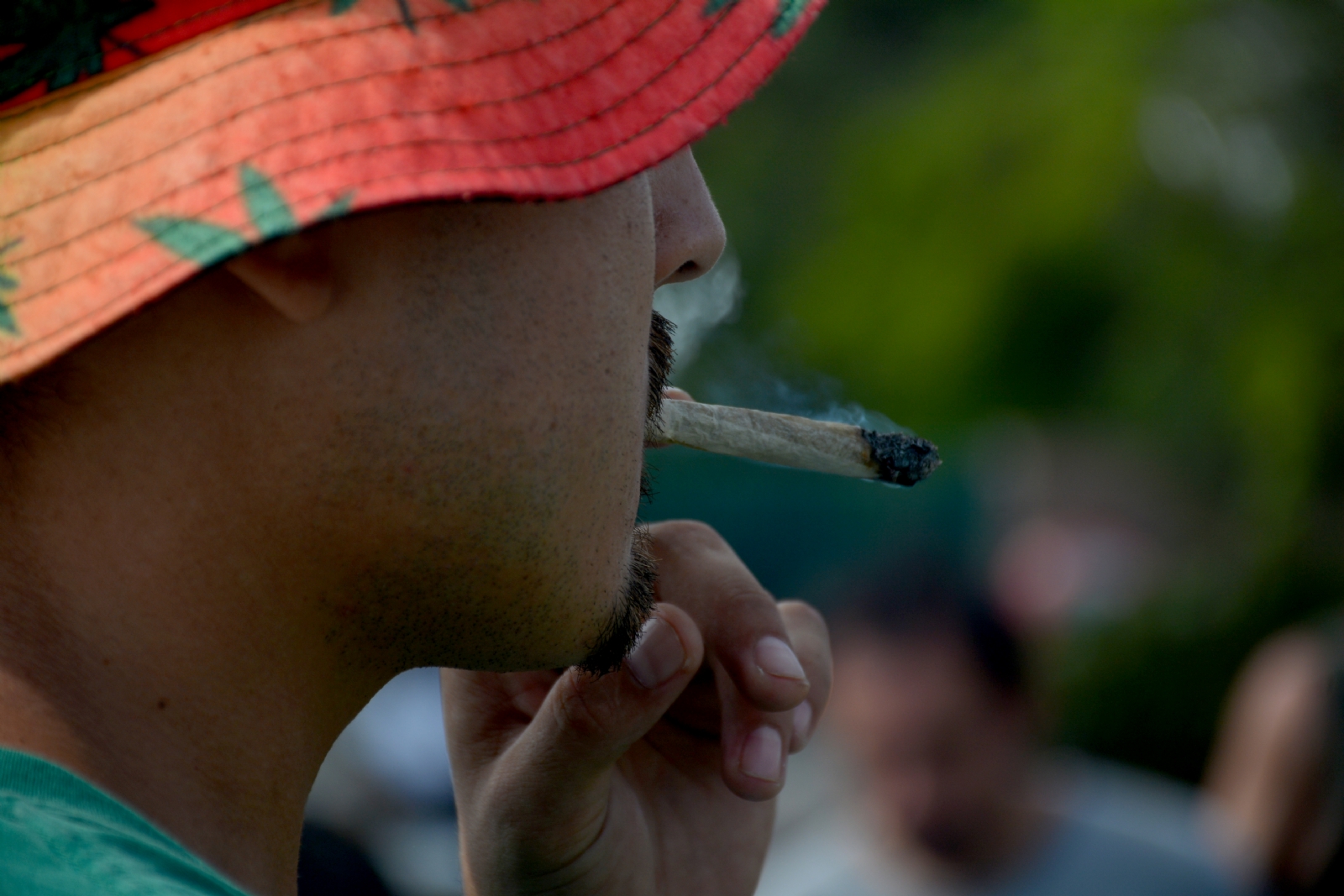 Cancunenses obtienen permisos para consumo recreativo de marihuana
