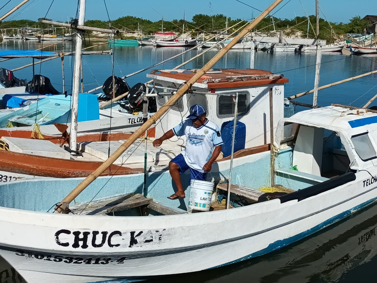Precio del pulpo en Yucatán se desploma; pescadores se preparan para finalizar la temporada