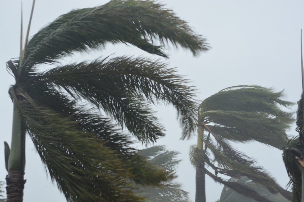 Se forma la Tormenta Tropical Lee al Este de la Península de Yucatán; sigue su trayectoria EN VIVO