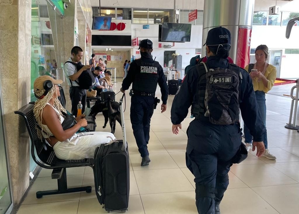 Detienen a una mujer por portación de una maleta con drogas en Playa del Carmen