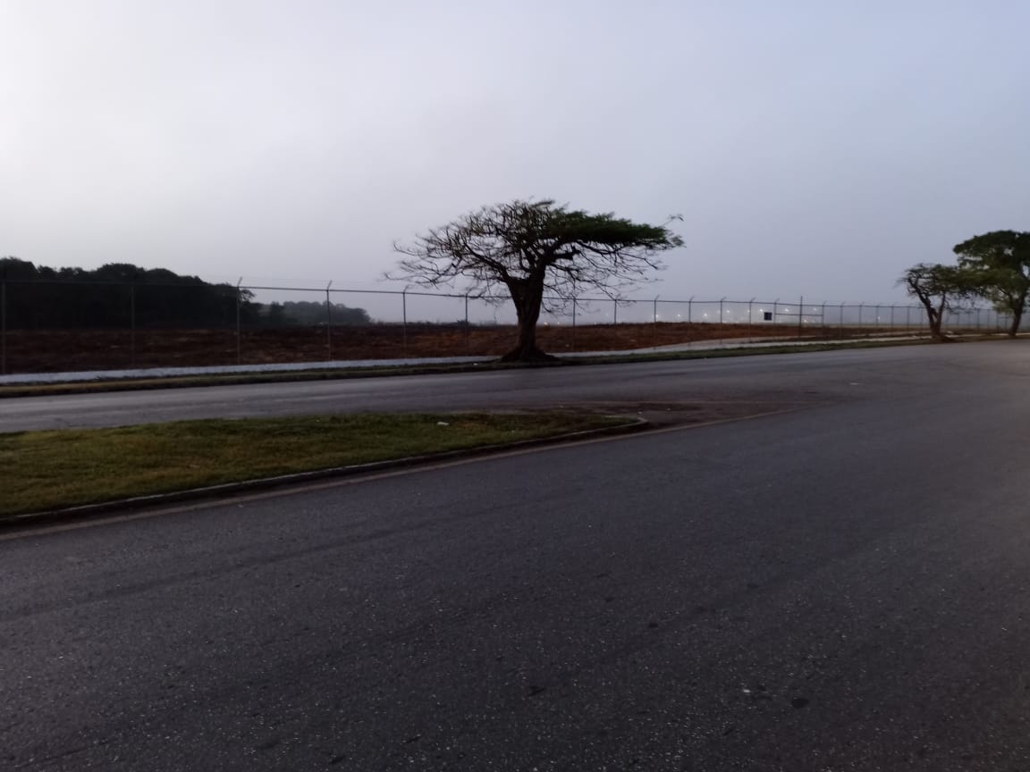 Neblina causa retraso y cancelación de vuelos en el aeropuerto de Mérida