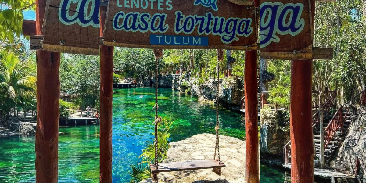 Estos son los cuatro cenotes que podrás visitar en Casa Tortuga