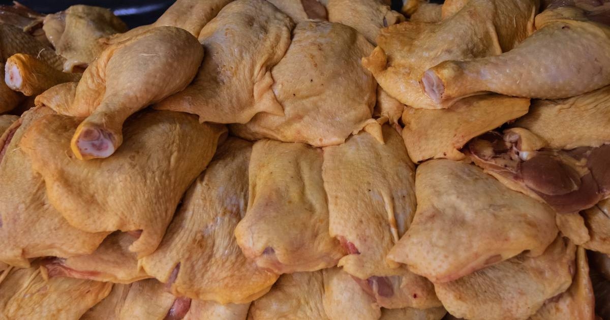 Abasto de huevo y pollo normal en Yucatán ante alerta por influenza aviar