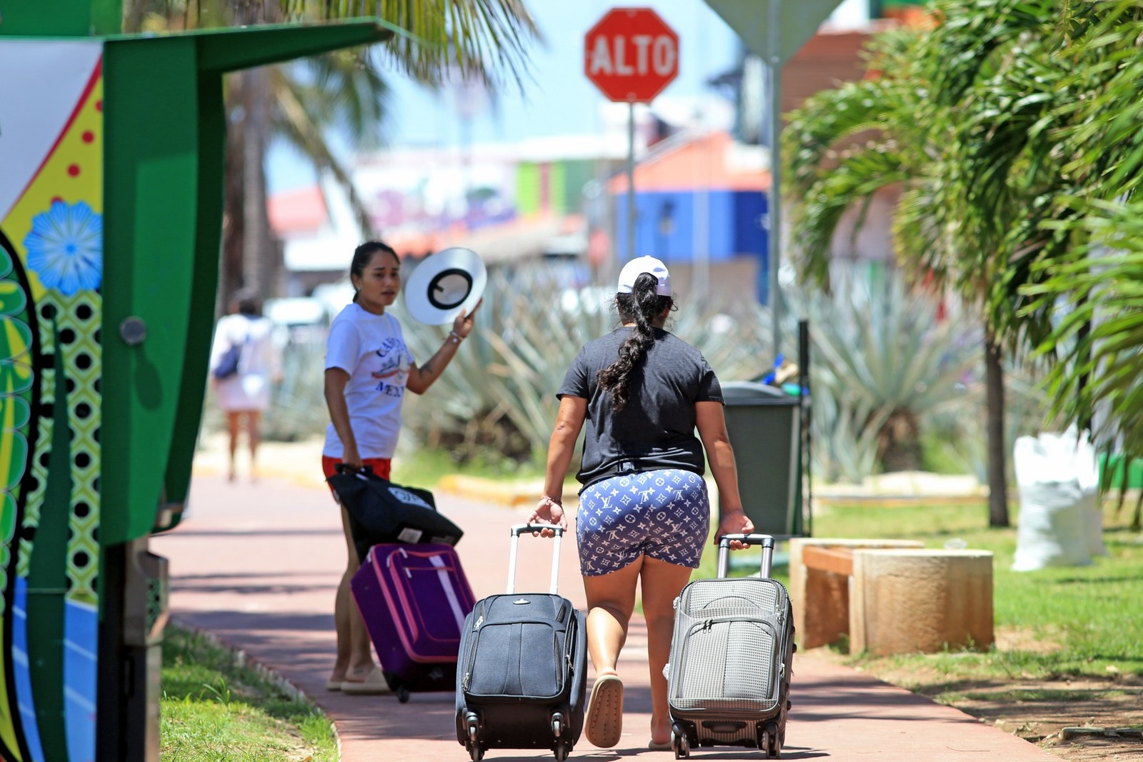 Alojamientos informarles en Cancún y Riviera Maya aumentó un 31.4% hasta agosto