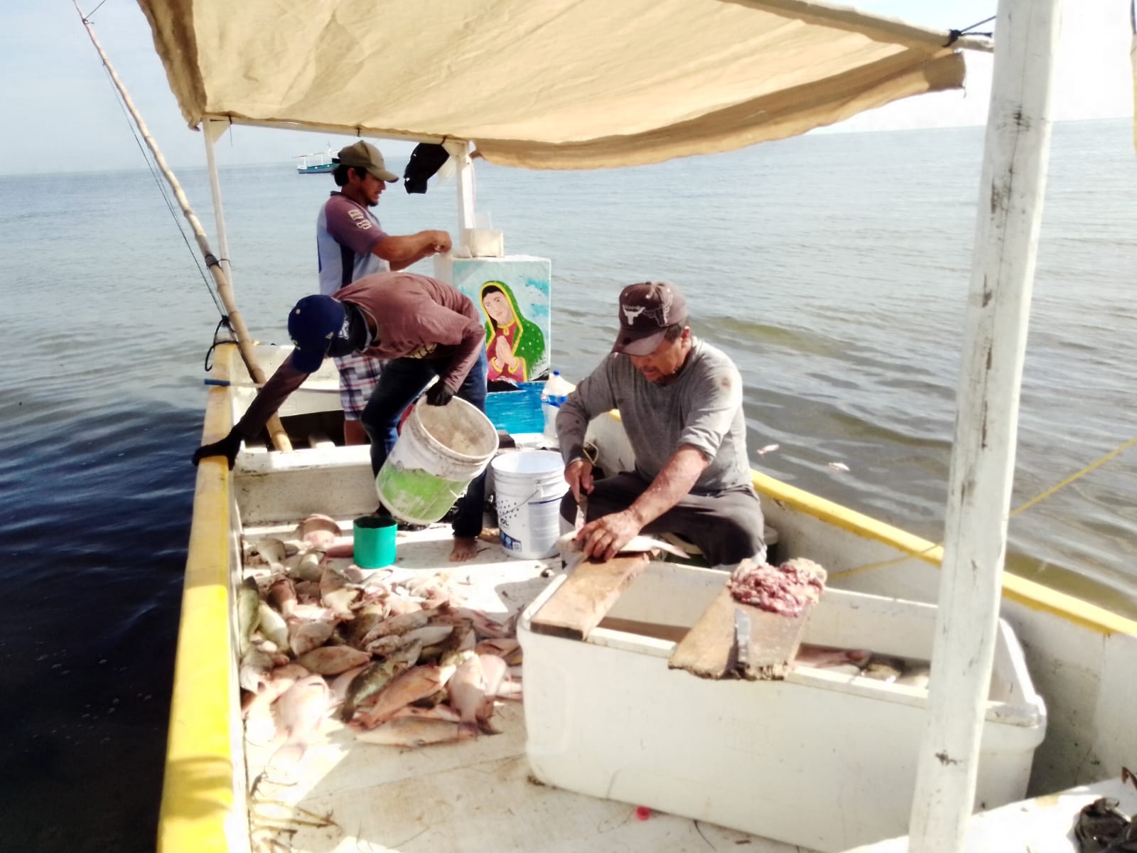 2022, año crítico para la captura del pulpo maya en la costa Norte de Yucatán: Pescadores