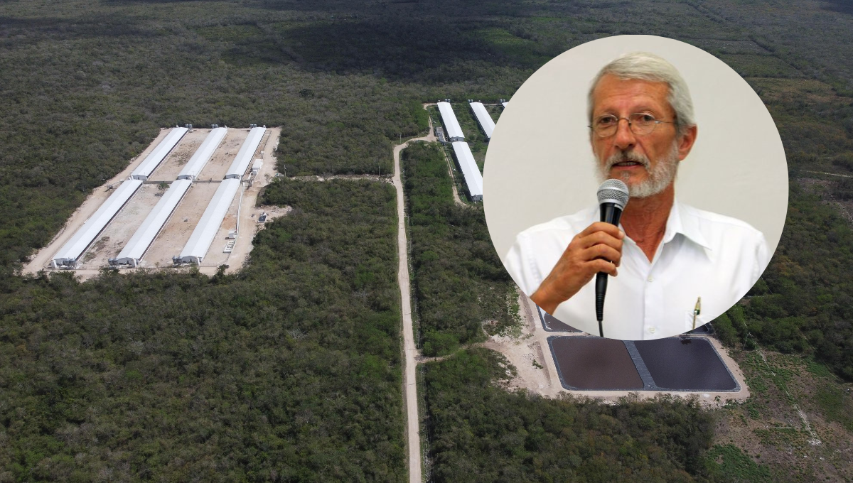 Contaminación del agua en Yucatán atenta contra los derechos humanos: exsecretario de Medio Ambiente