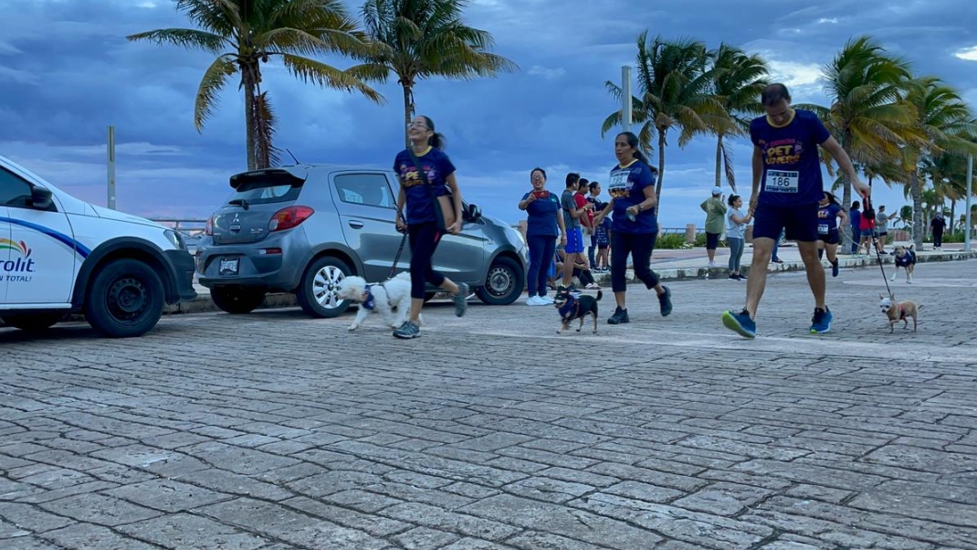 Corredores y mascotas protagonizan carrera “Pet Lovers” en Cancún