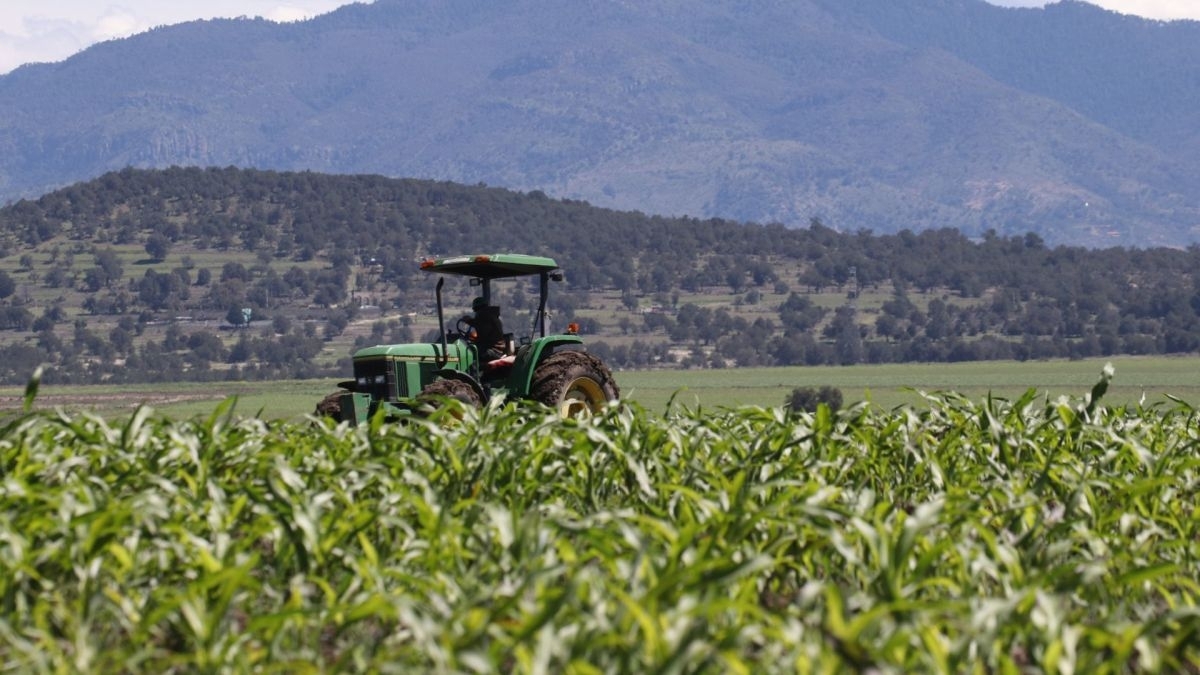 En los primeros 10 meses del año, la balanza comercial agroalimentaria registró un superávit de cinco mil 077 millones de dólares