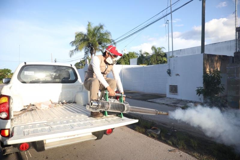 Dengue se extiende a 37 municipios de Yucatán; suman 363 casos