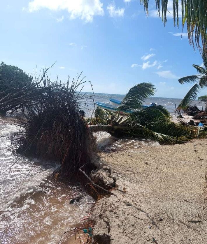 Frente Frío número 12 causa destrozos en la Isla María Elena, en Felipe Carrillo Puerto