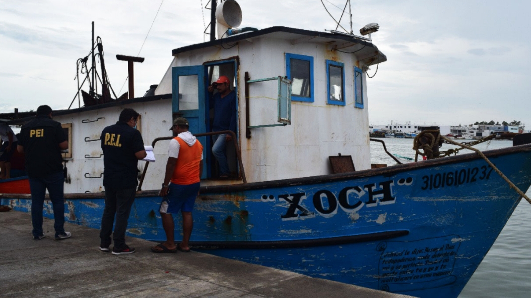 'Fiebre del pulpo' cobra la vida de ocho pescadores en Yucatán