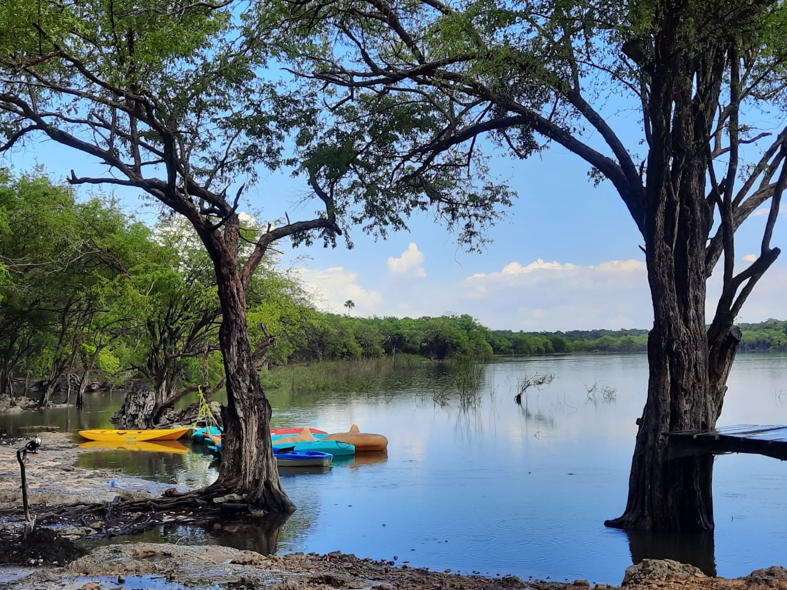 Laguna Nachi Cocom, un paraíso natural escondido en Tizimín, Yucatán