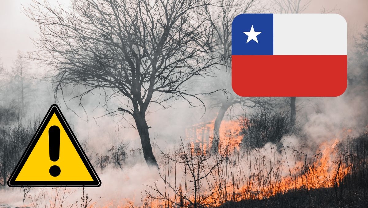 Declaran estado de emergencia en Chile por voraz incendio en Viña del Mar: VIDEO