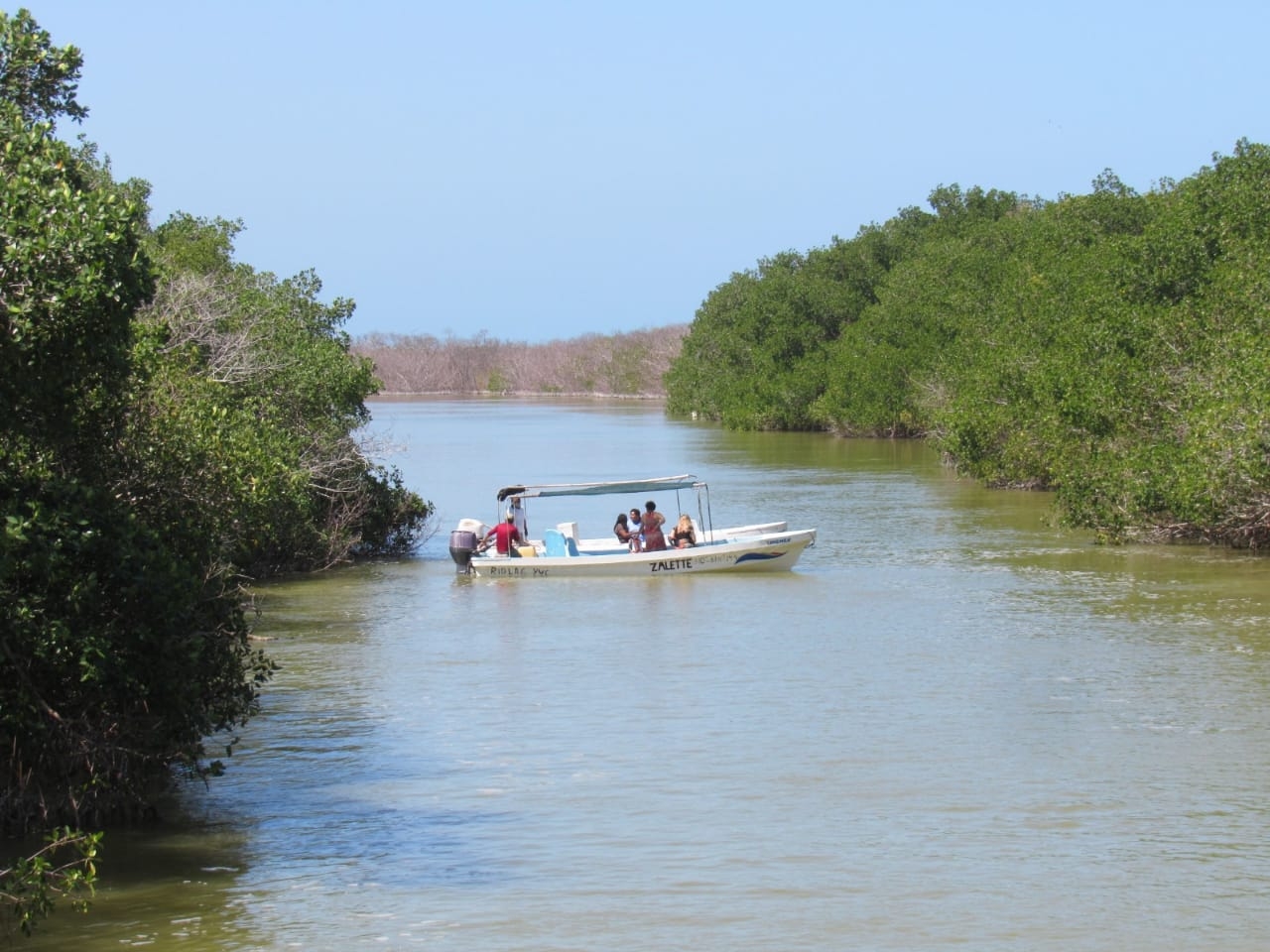 Río Lagartos, un paraíso natural para el turismo de aventura en Yucatán