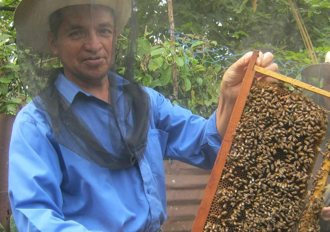 Frente Frío 19 atrasa cosecha de miel en Candelaria; 'heladez' pone en riesgo a las abejas