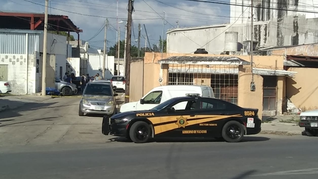 Investigan supuesto asesinato en la colonia Díaz Ordaz, en Mérida: EN VIVO