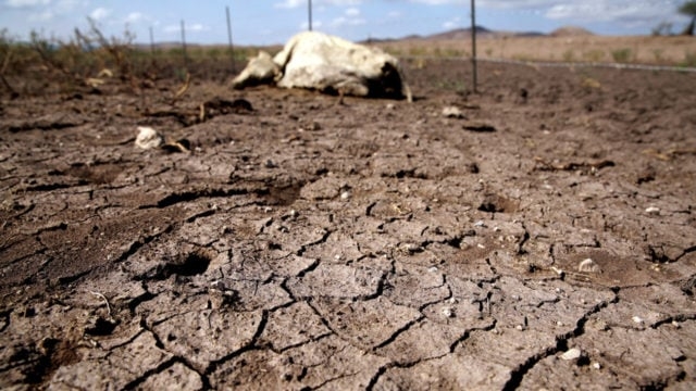 Fue durante la segunda quincena de noviembre cuando incrementó la condición se sequía en Yucatán