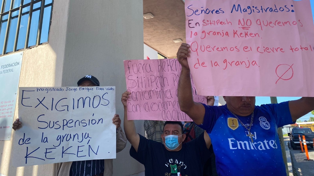 En Mérida, ejidatarios de Sitilpech protestan contra amparo de Kekén en el Poder Judicial: EN VIVO