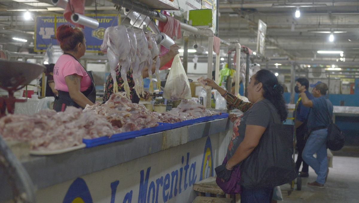 Detectan casos de gripe aviar en granjas de pavo en Yucatán a días de las fiestas navideñas